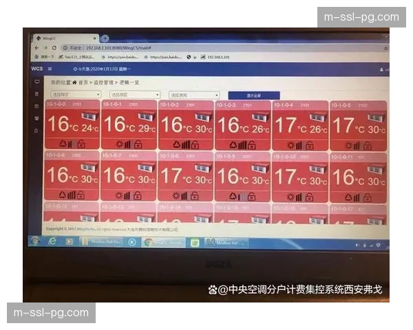 按需、按使用量付费的弹性保障服务模式开始探索应用