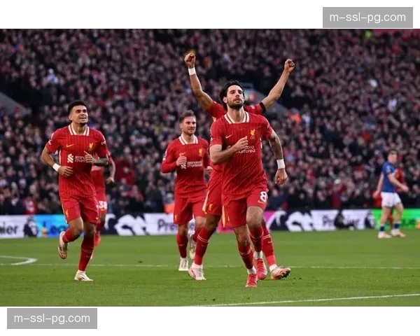 通讯：从英冠到英超保级成功，跟随镜头回顾伊普斯维奇奇迹般的赛季