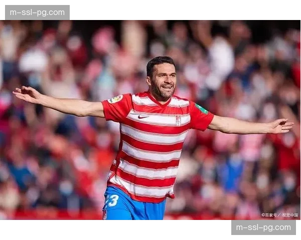 奥萨苏纳2-1格拉纳达,后者提前四轮降入西乙 奥萨苏纳2-1格拉纳达,后者提前四轮降入西乙